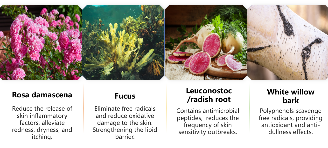 балансирующий тонер-туман