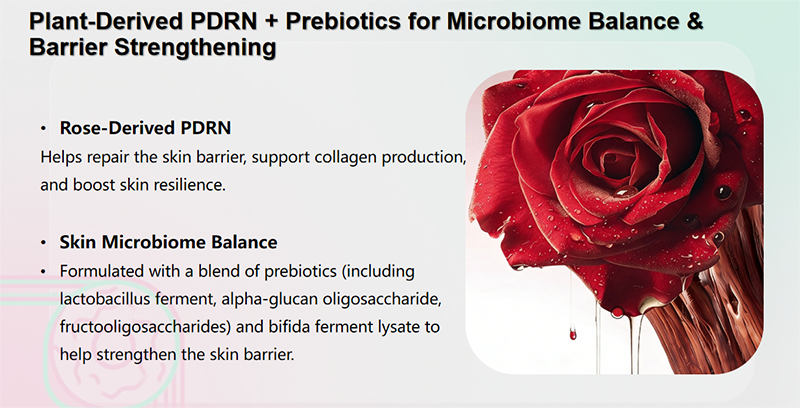 PDRN Face Cream